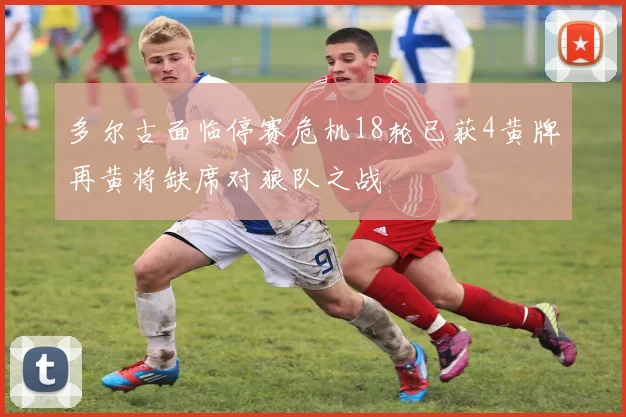 多尔古面临停赛危机18轮已获4黄牌再黄将缺席对狼队之战