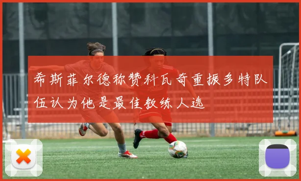 希斯菲尔德称赞科瓦奇重振多特队伍认为他是最佳教练人选