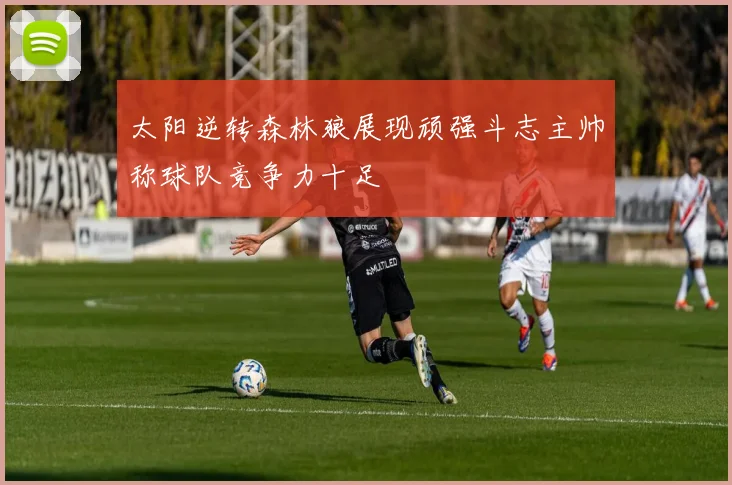 太阳逆转森林狼展现顽强斗志主帅称球队竞争力十足